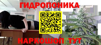 амф Нальчик