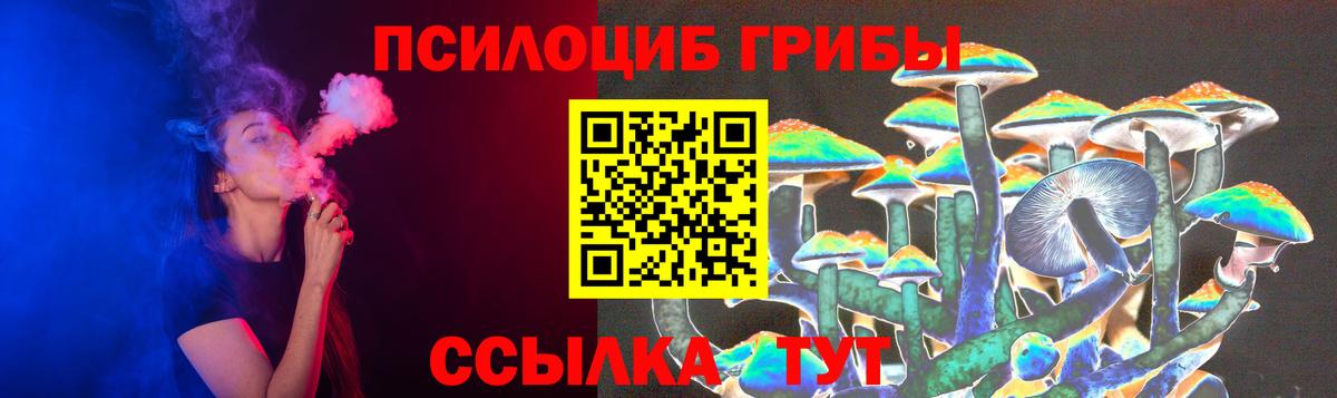 Ульяновск  Псилоцибиновые грибы Psilocybe  Вход с VPN 